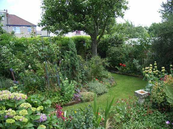 garden