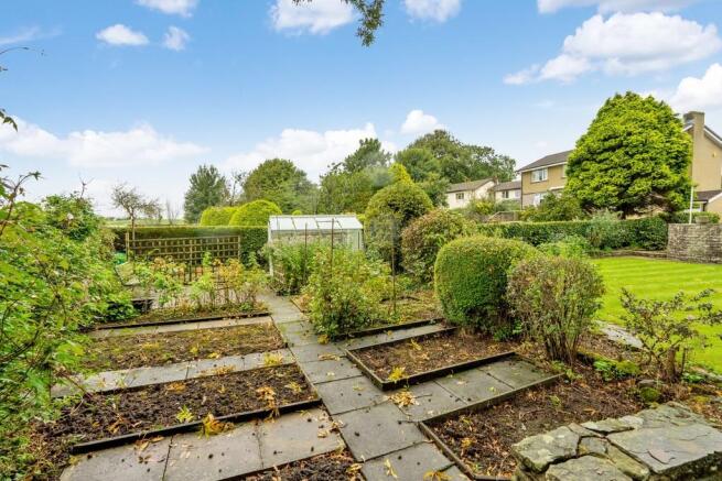 Vegetable Plot