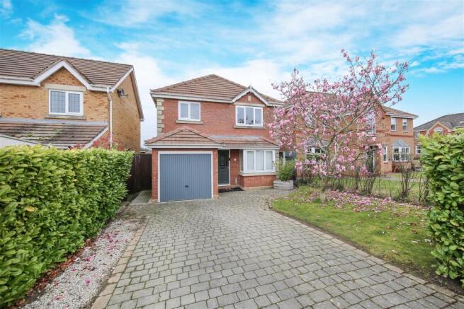 Front2.jpg