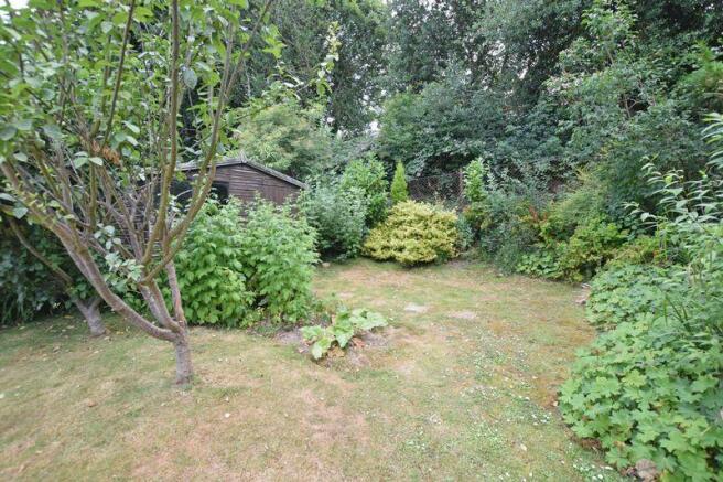 Garden 3