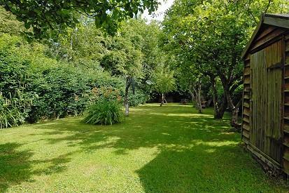 Rear Orchard