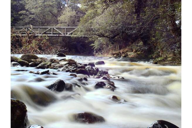 Unnamed photo