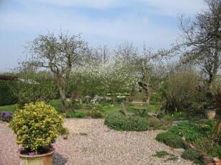 Fantastic Garden