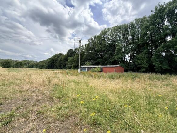 Farm Land for sale Image 4