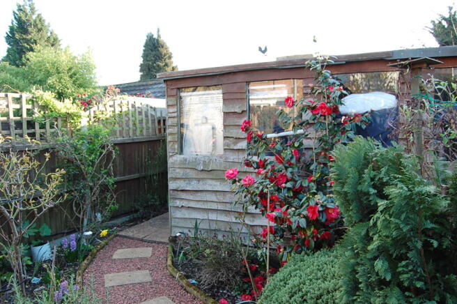 Photo 10