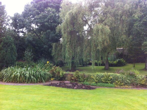 garden 1
