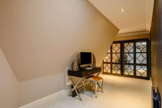Study Area