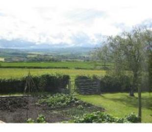 Garden & View