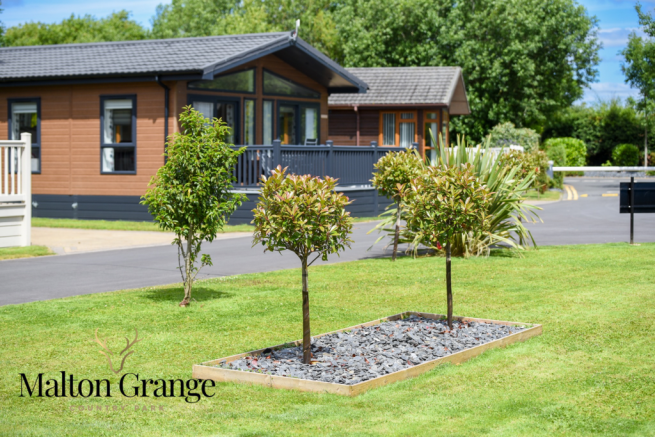 2 bed Lodge for sale Image 7