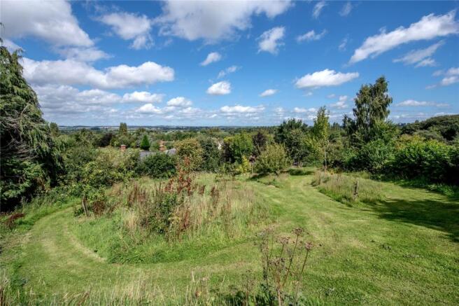 Orchard and View