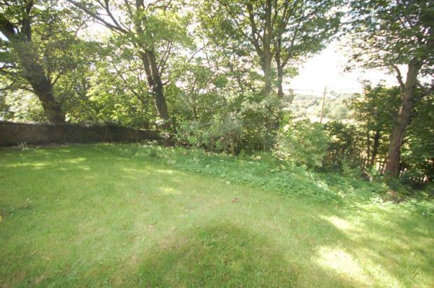 Side Garden