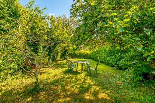 Additional Orchard