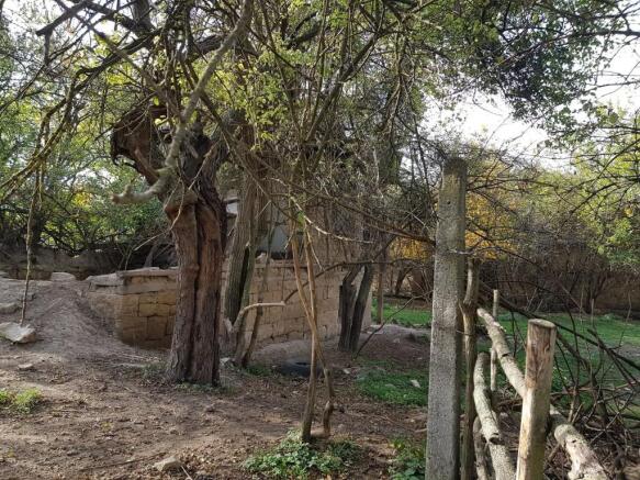 A partially collapsed stone structure visible behind trees and a wooden fence