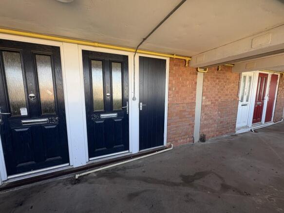 2  Medium  T202604091720.jpg