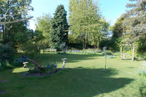 Photo 13