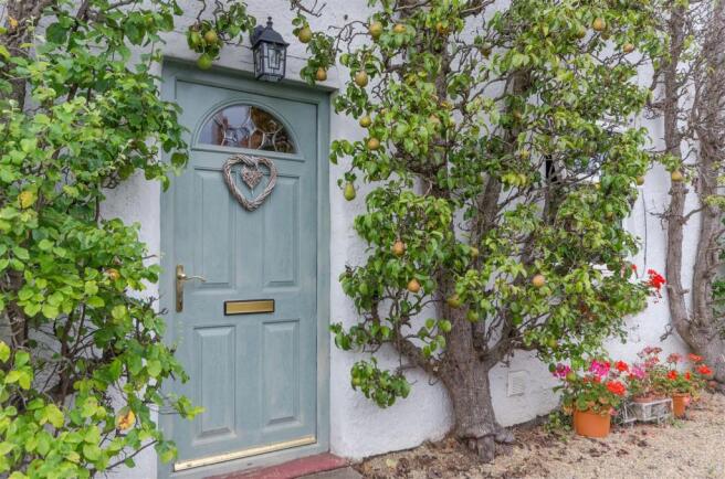 Pear Tree @ Front Do