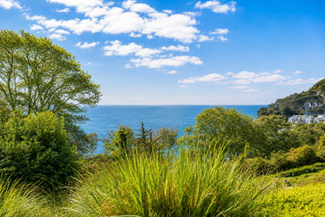 Moult Hill, Salcombe, Devon