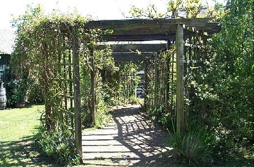 Rear garden