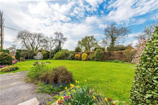 Pretty Garden