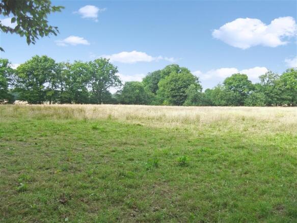 Paddocks Shot 1