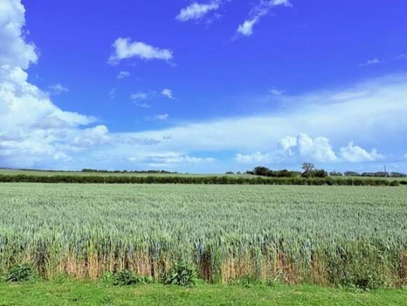 waysidefarmviews13.jpg