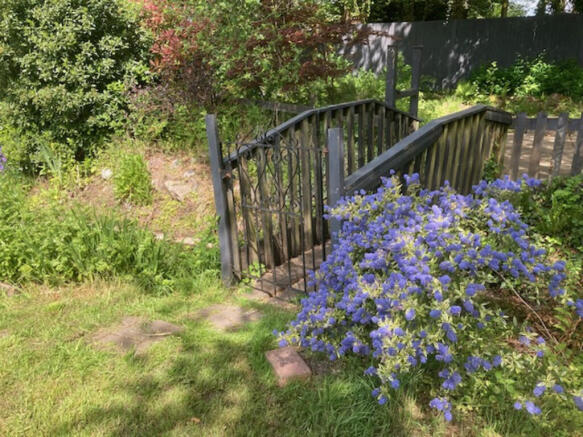 garden 9