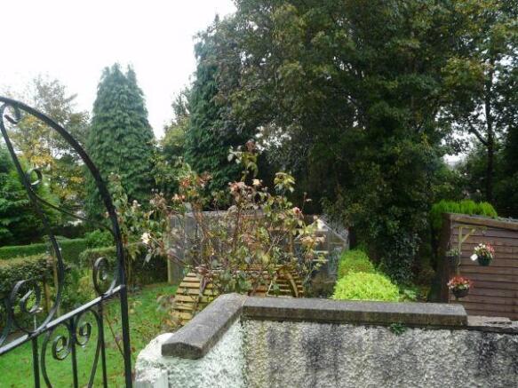 Photo 8