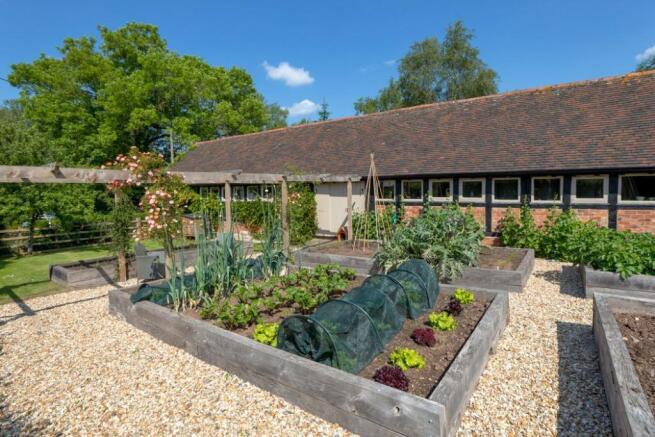 Vegetable Garden