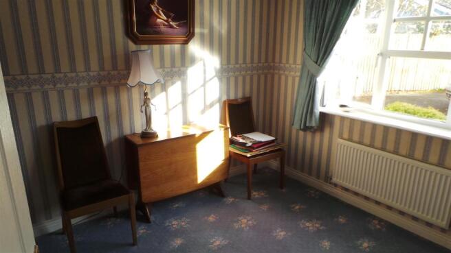 20141124_120016.JPG