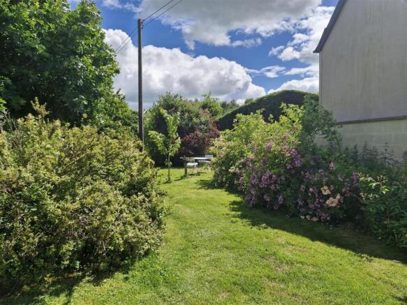 garden.jpg