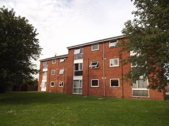 Picture No.10