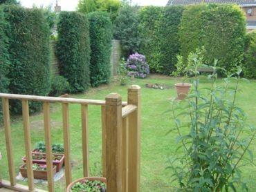 Mature Rear Garden