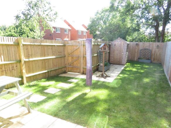Photo 11