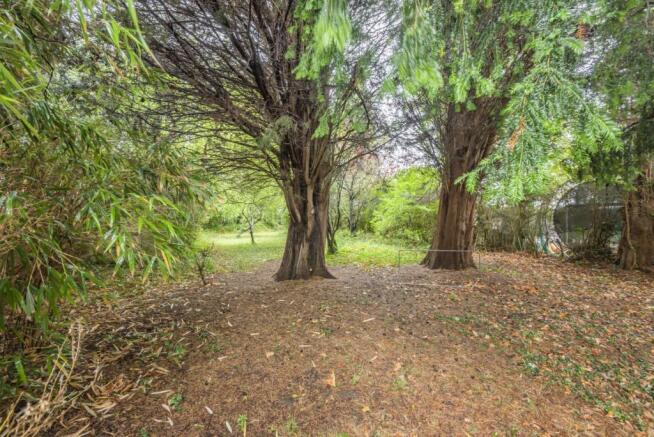 Garden/Woodland