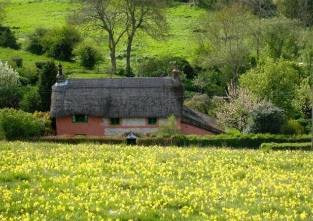 Cowslips Client image.jpg