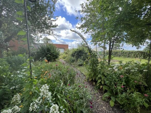 Garden 7