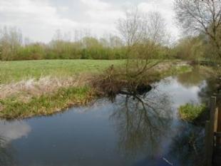 Mill Stream