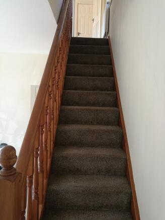 Extra image 7