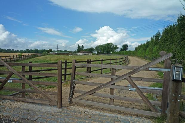 Driveway