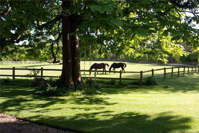 Paddock