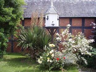 Garden Photo 2