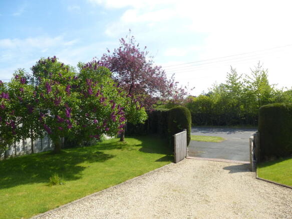 Photo 14
