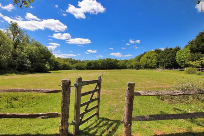 Field