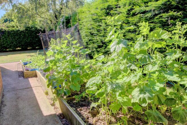 Raised vegetable beds
