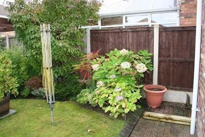 Photo 24