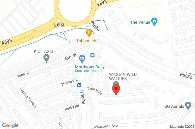 Google Maps Image