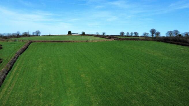 dji_fly_20260318_142206_386_1773844457675_photo_op