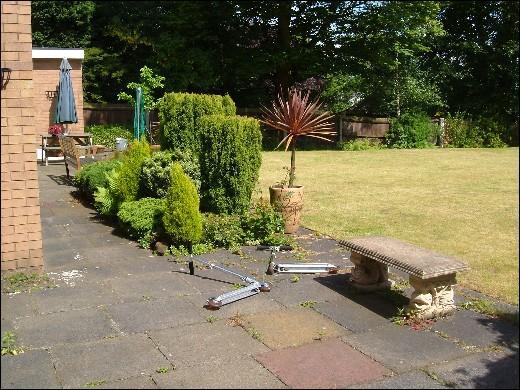 South facing garden
