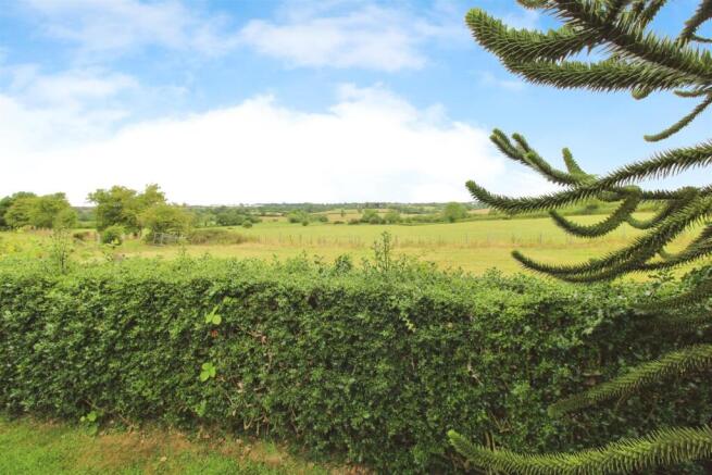 99edb4c6-IMG_4012.JPG