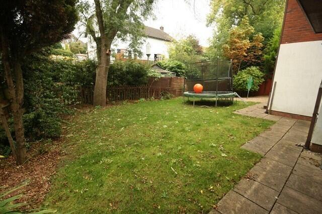 Picture 13